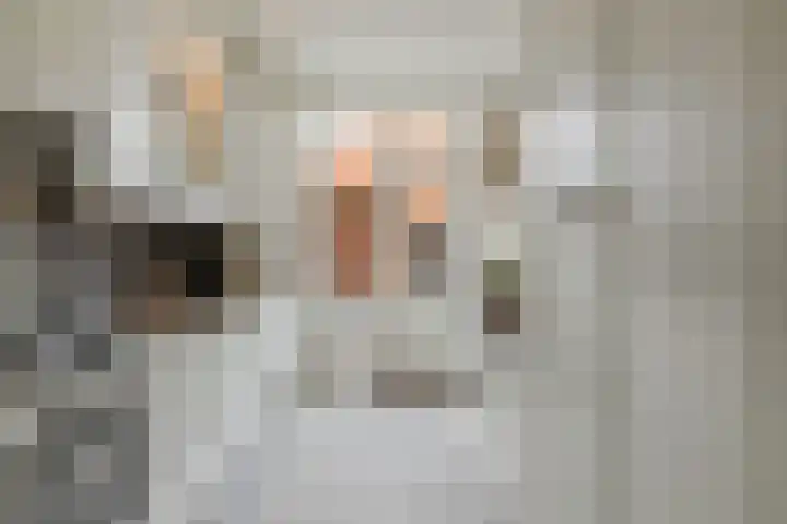 Meidoornstraat 2 Zundert thumbnail 22