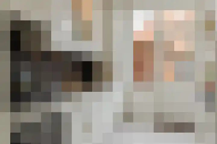 Meidoornstraat 2 Zundert thumbnail 24