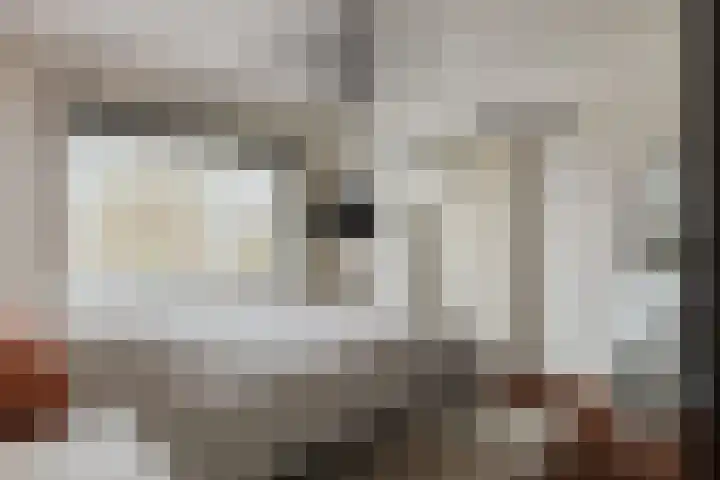 Meidoornstraat 2 Zundert thumbnail 33