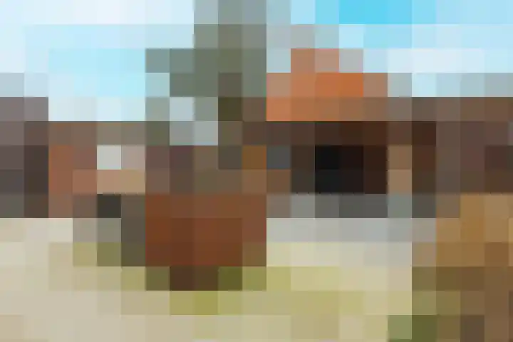 Meidoornstraat 2 Zundert thumbnail 41