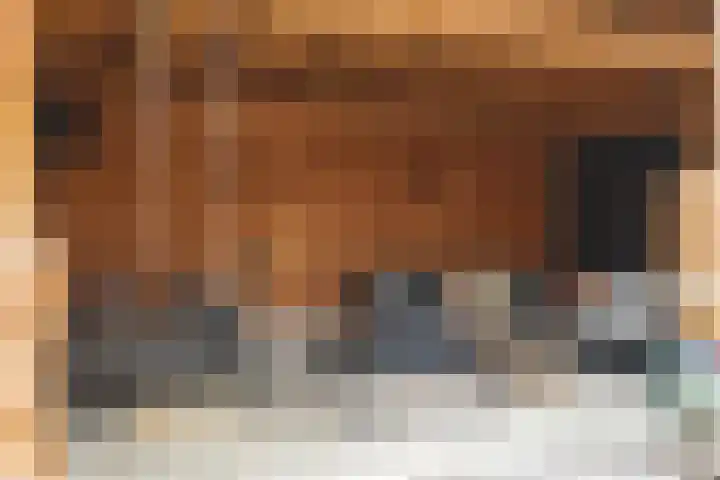 Meidoornstraat 2 Zundert thumbnail 45