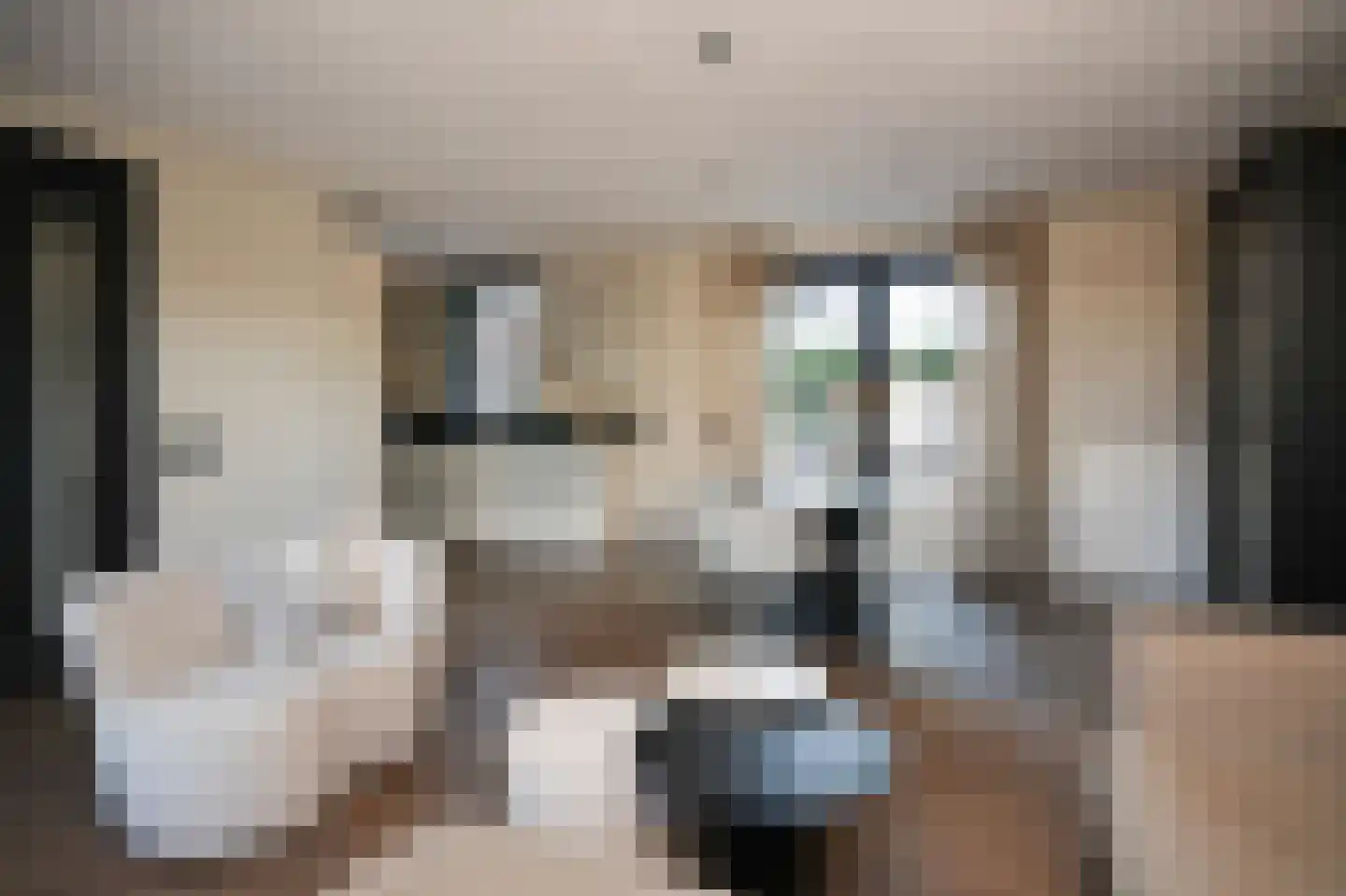 Meidoornstraat 20 Opheusden thumbnail 10