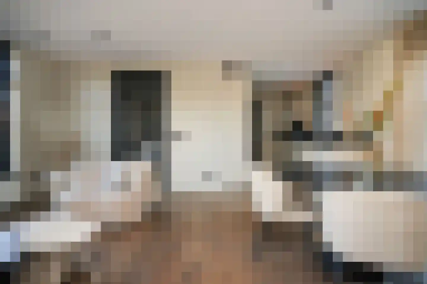 Meidoornstraat 20 Opheusden thumbnail 9