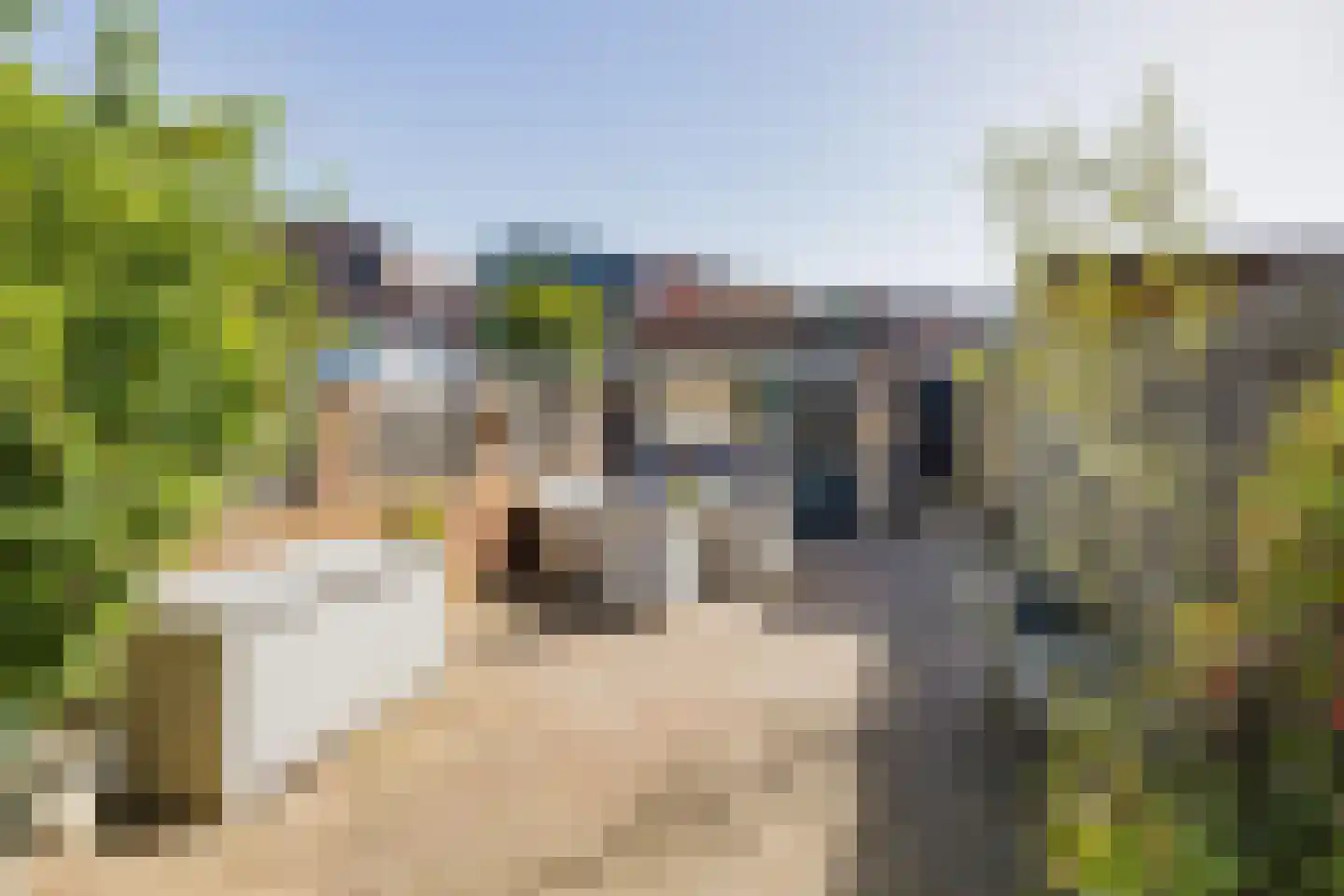 Meidoornstraat 21 IJmuiden thumbnail 15
