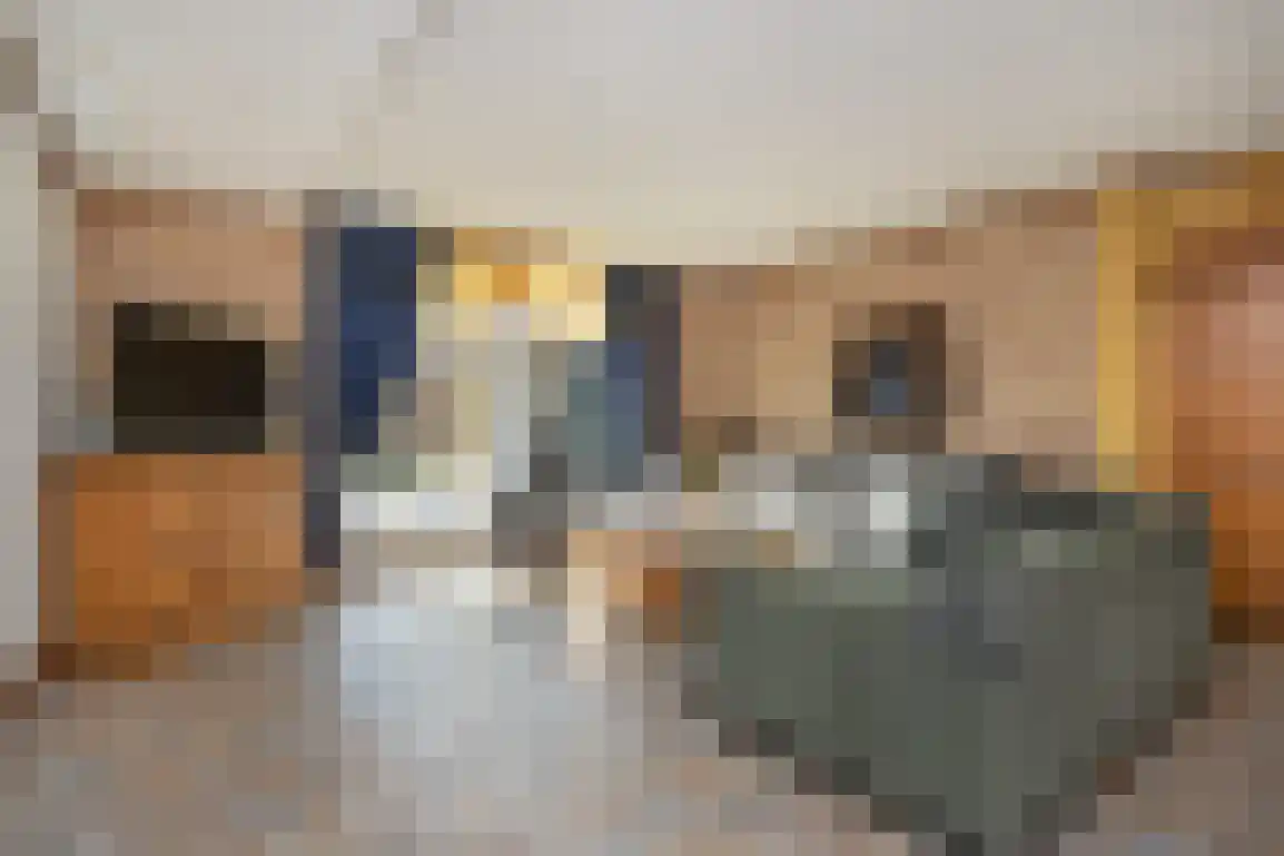 Meidoornstraat 21 Stellendam thumbnail 13