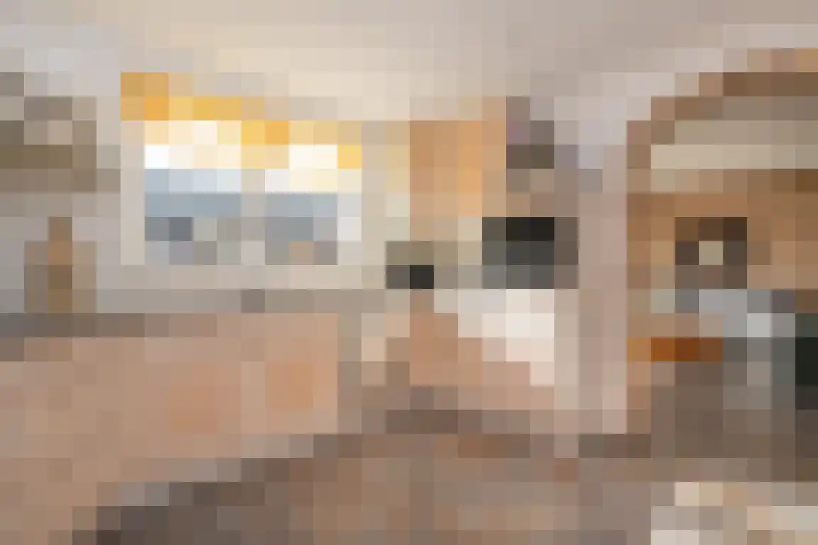 Meidoornstraat 21 Stellendam thumbnail 20