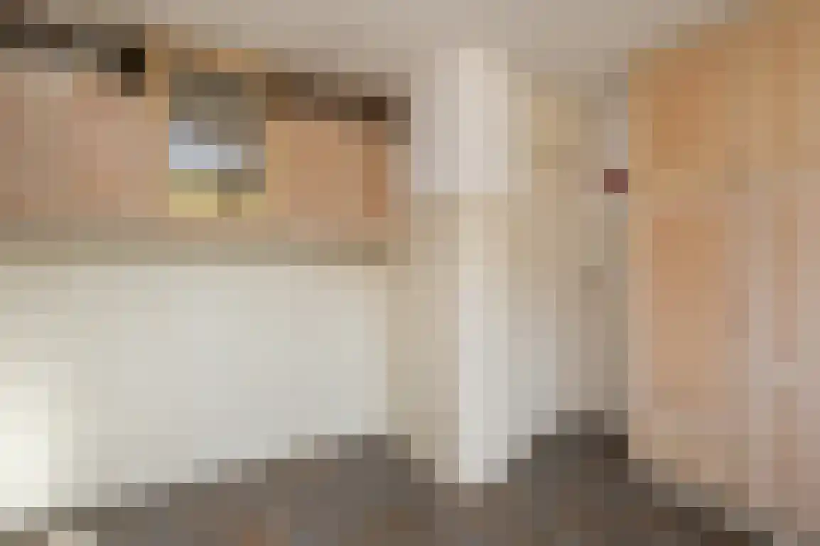 Meidoornstraat 21 Stellendam thumbnail 23