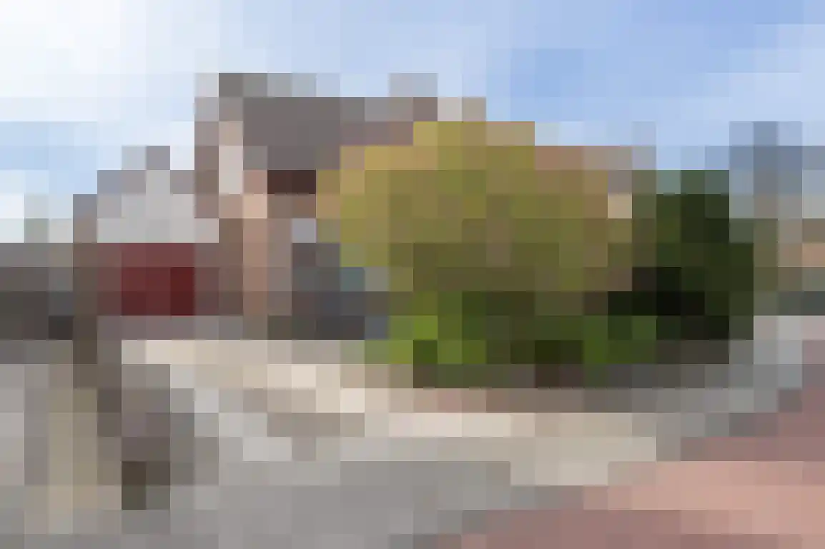 Meidoornstraat 21 Stellendam thumbnail 4
