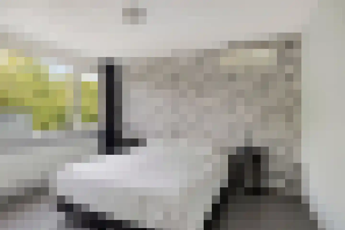 Meidoornstraat 21 Zevenaar thumbnail 24