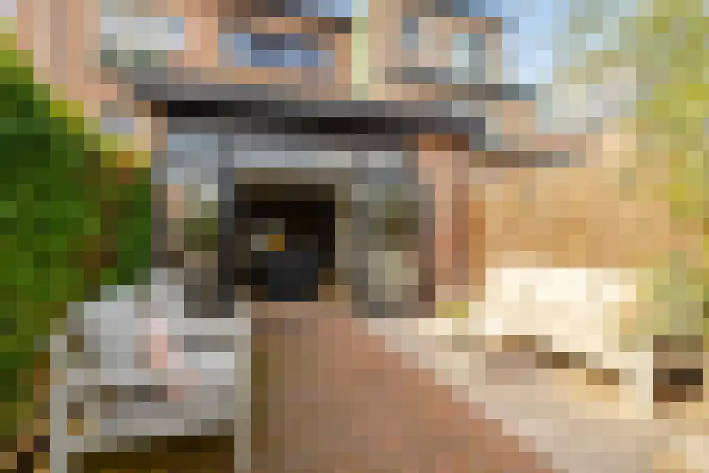 Meidoornstraat 23 IJmuiden thumbnail 23
