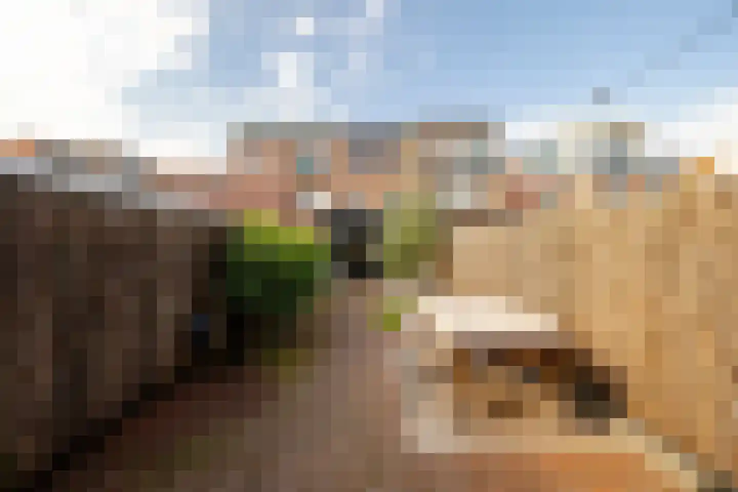 Meidoornstraat 23 IJmuiden thumbnail 27