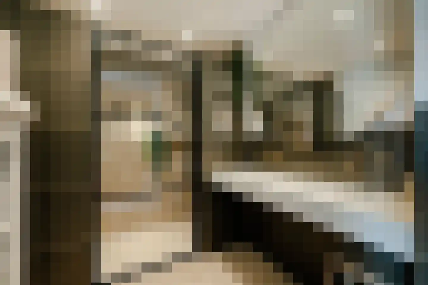 Meidoornstraat 23 IJmuiden thumbnail 8