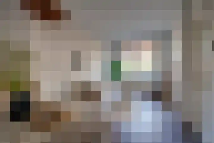 Meidoornstraat 24 Utrecht thumbnail 13