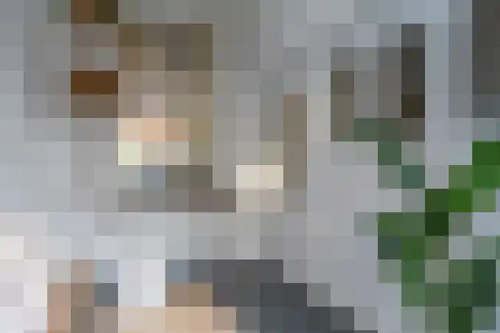 Meidoornstraat 24 Utrecht thumbnail 19