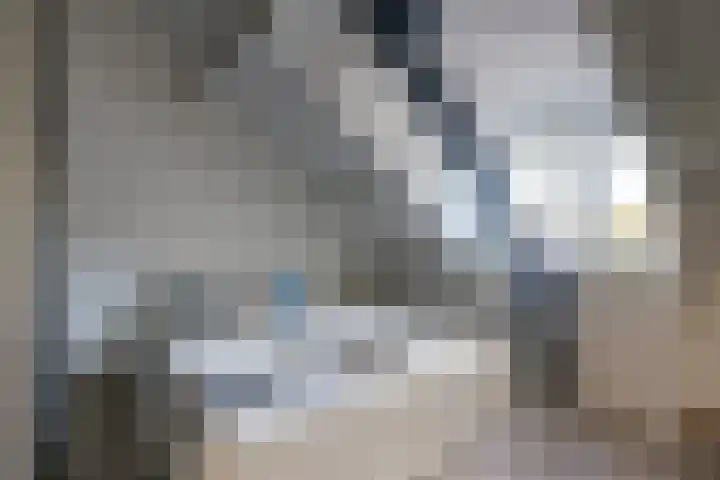 Meidoornstraat 24 Utrecht thumbnail 25