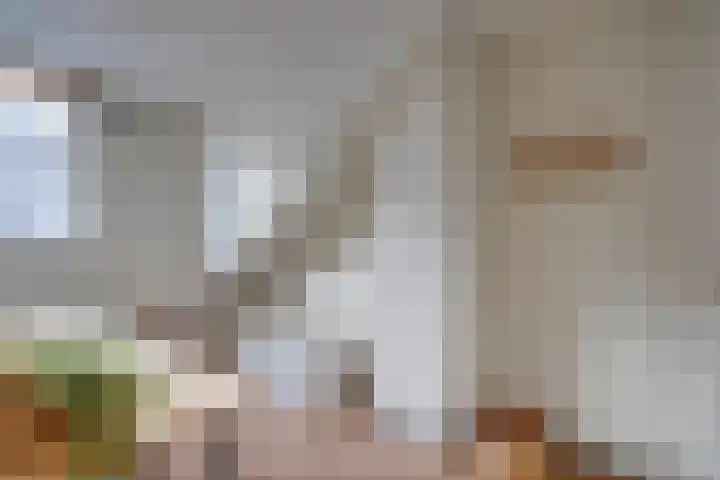 Meidoornstraat 24 Utrecht thumbnail 29