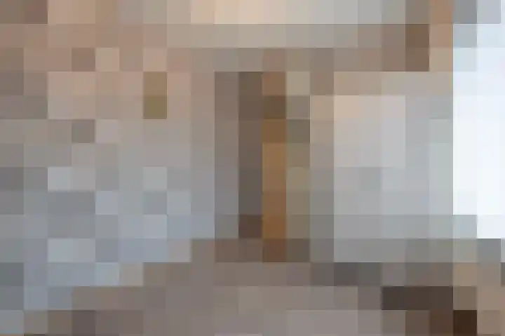 Meidoornstraat 25 Oudenbosch thumbnail 36