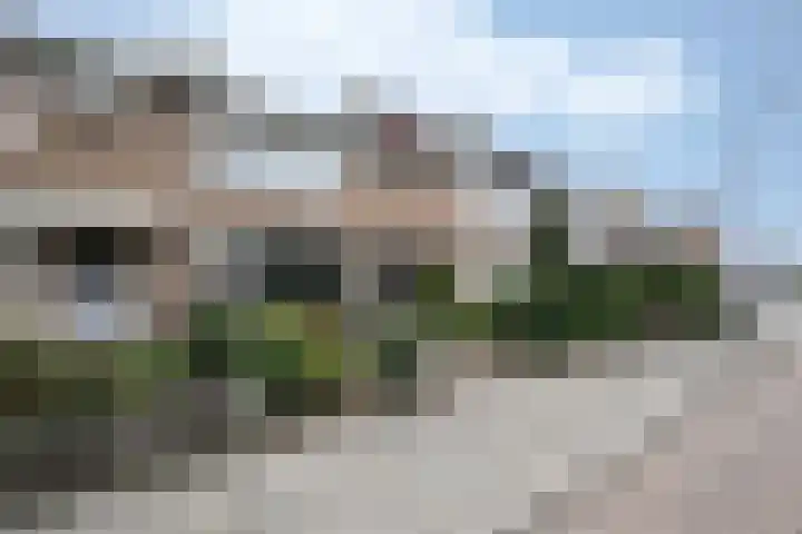 Meidoornstraat 25 Oudenbosch thumbnail 5