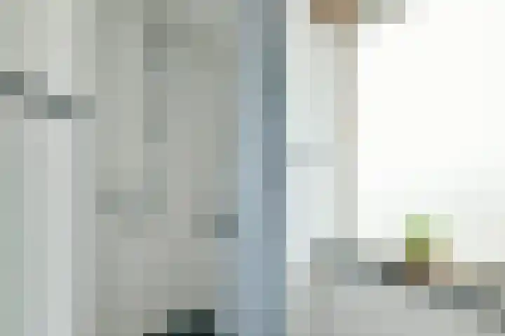 Meidoornstraat 26 Zaandam thumbnail 20