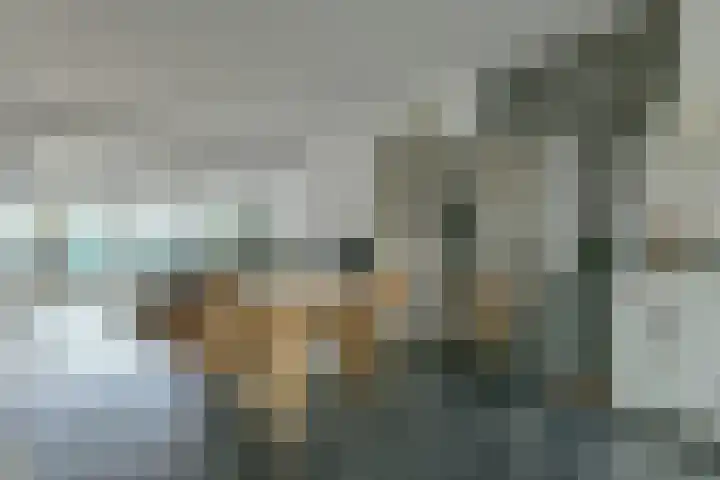 Meidoornstraat 26 Zaandam thumbnail 9