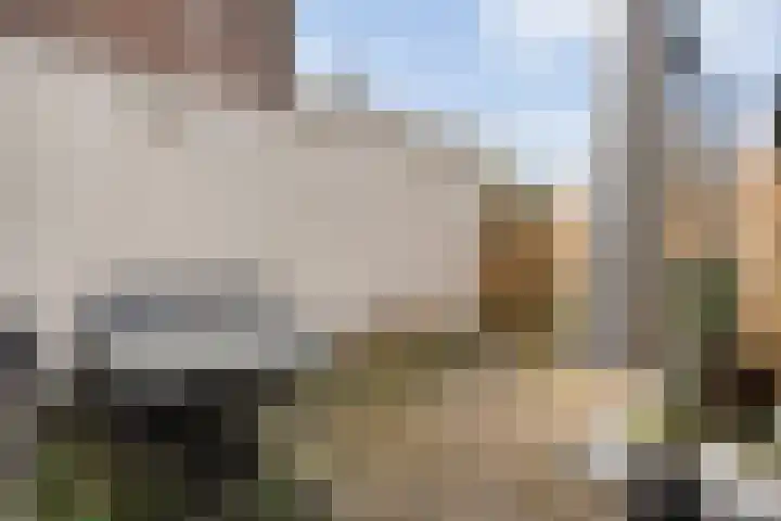 Meidoornstraat 28 Zwolle thumbnail 14