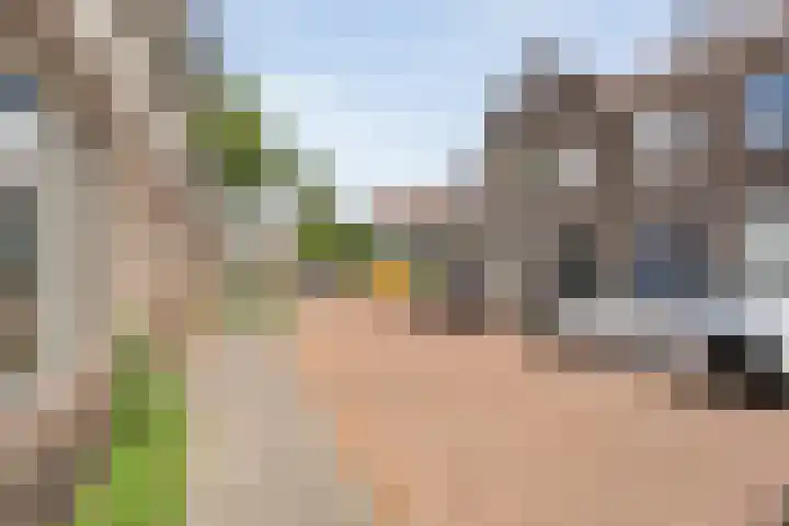 Meidoornstraat 28 Zwolle thumbnail 18