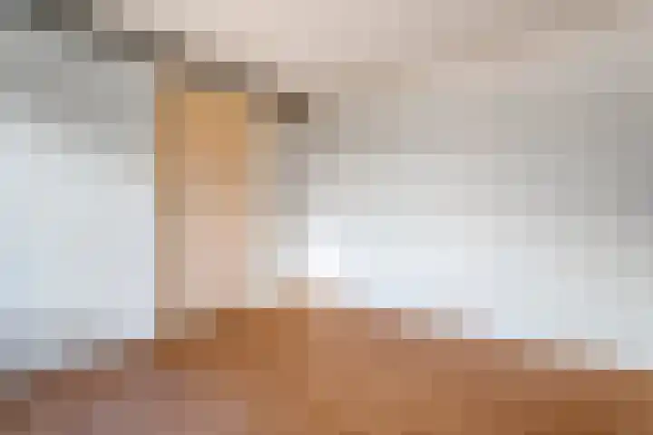 Meidoornstraat 28 Zwolle thumbnail 5
