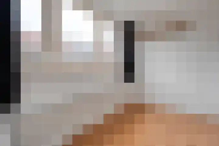 Meidoornstraat 28 Zwolle thumbnail 9