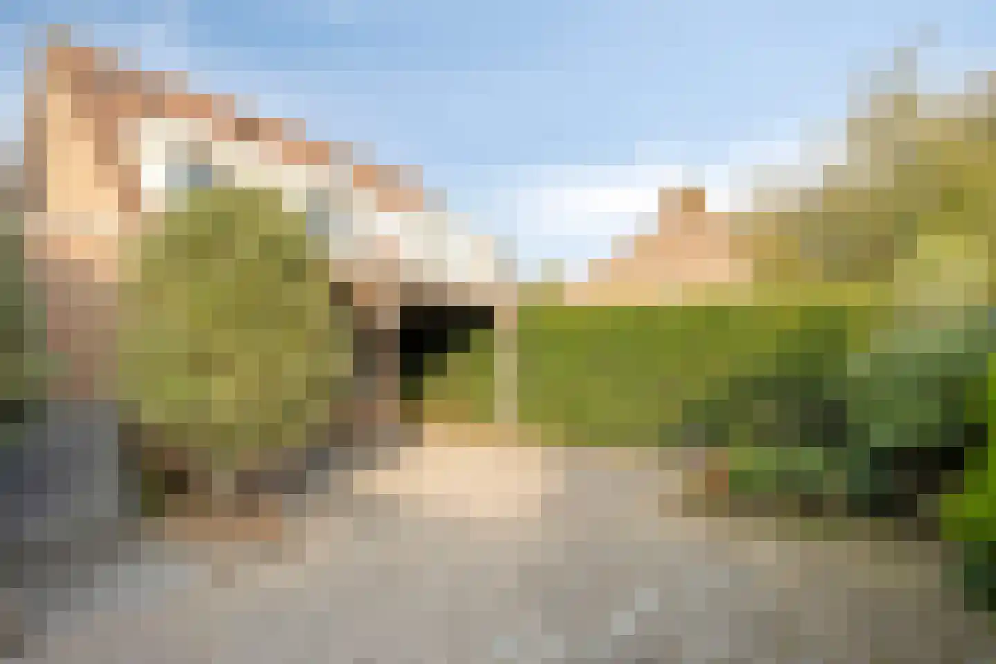 Meidoornstraat 29 Geffen thumbnail 12