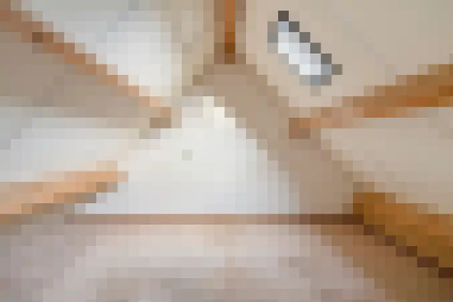 Meidoornstraat 29 Geffen thumbnail 24