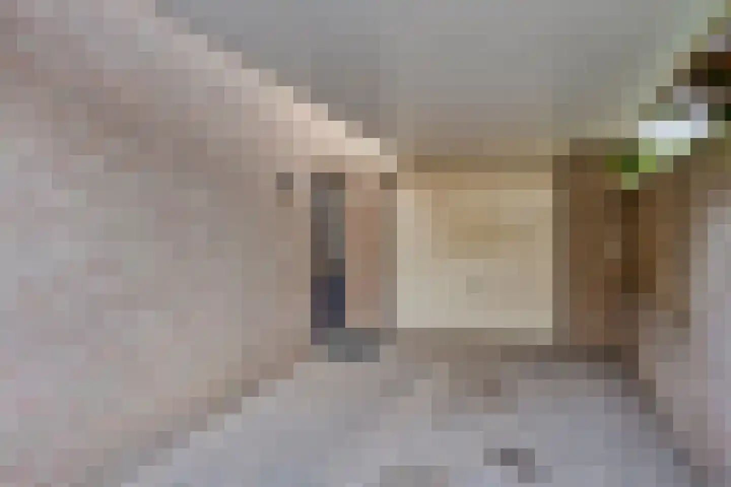 Meidoornstraat 29 Geffen thumbnail 25