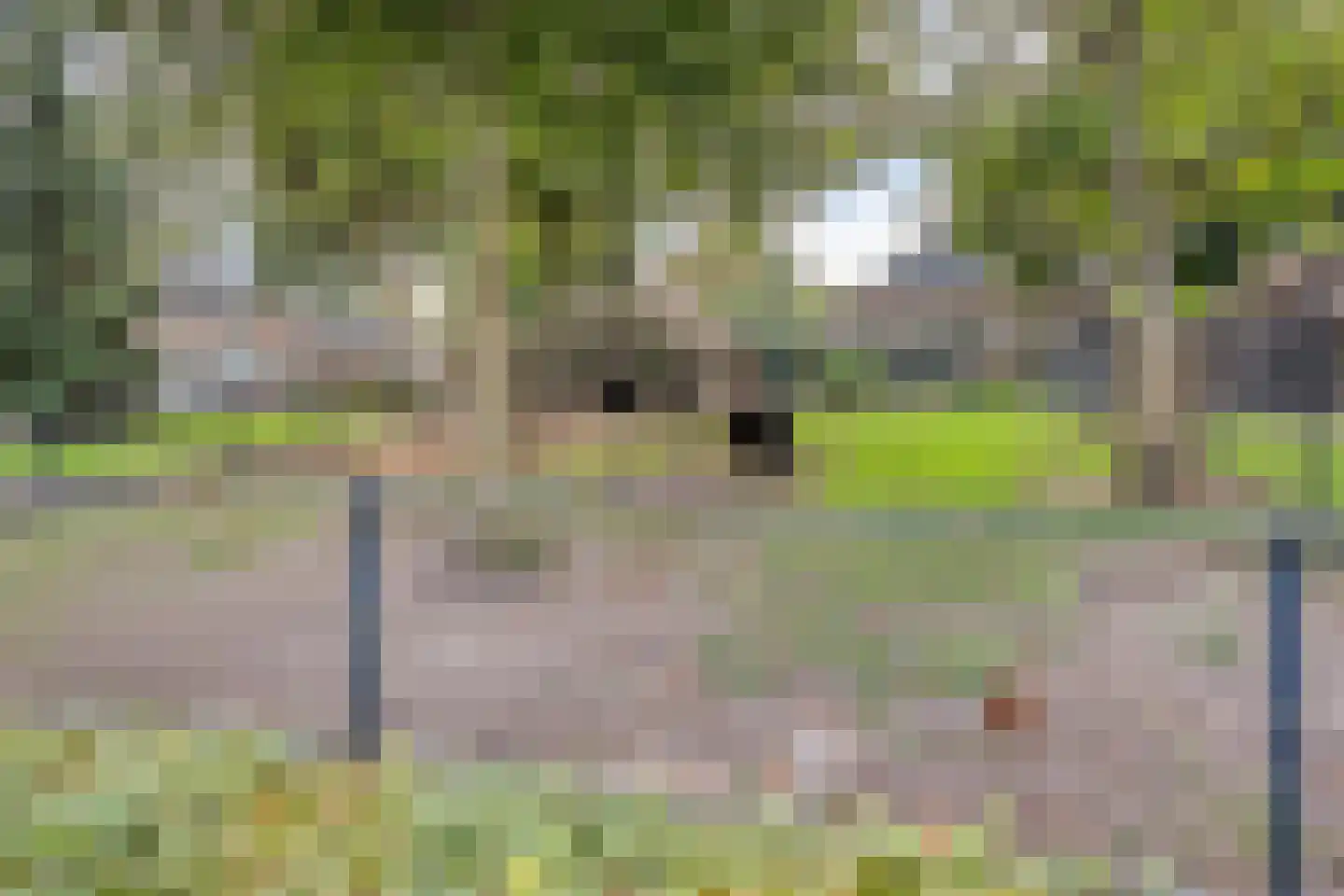 Meidoornstraat 29 Geffen thumbnail 30