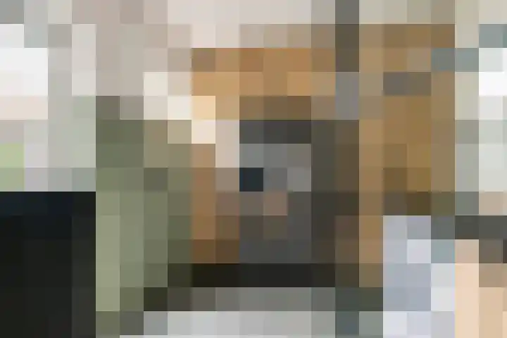 Meidoornstraat 3 Deest thumbnail 12