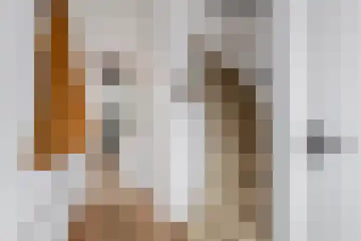 Meidoornstraat 3 Deest thumbnail 15