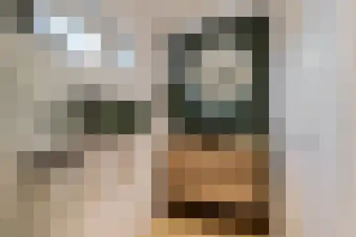 Meidoornstraat 3 Deest thumbnail 19