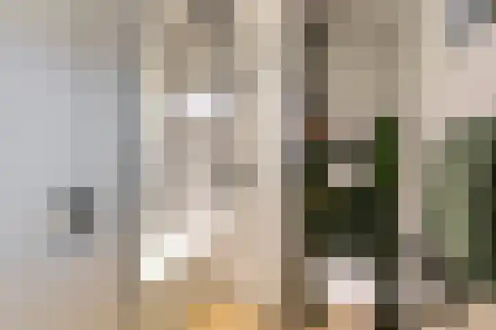 Meidoornstraat 3 Deest thumbnail 20