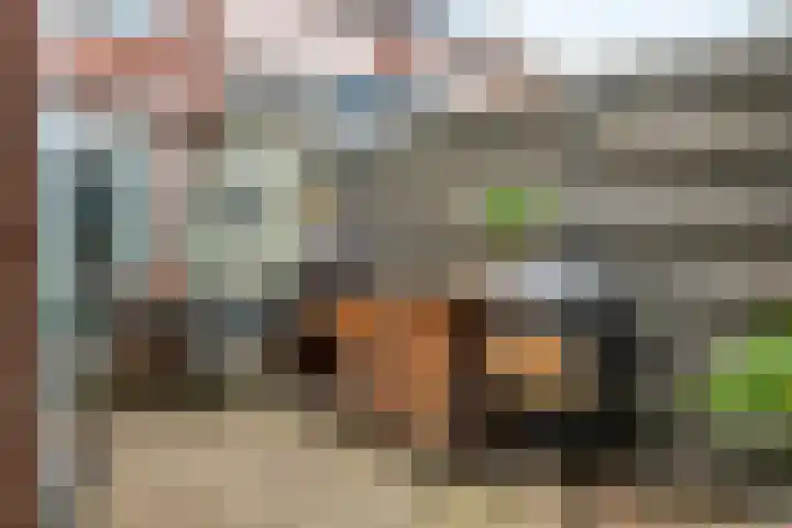 Meidoornstraat 3 Deest thumbnail 29
