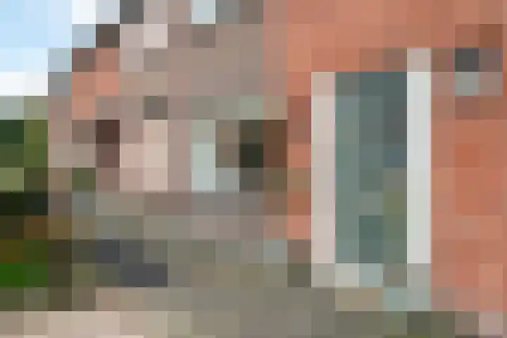 Meidoornstraat 3 Deest thumbnail 31
