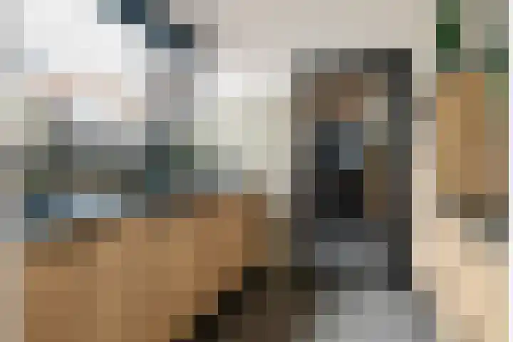 Meidoornstraat 3 Deest thumbnail 4