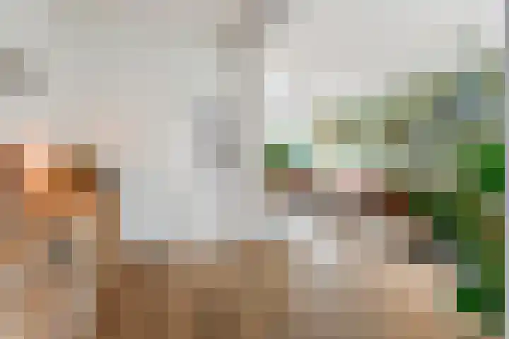 Meidoornstraat 3 Deest thumbnail 5