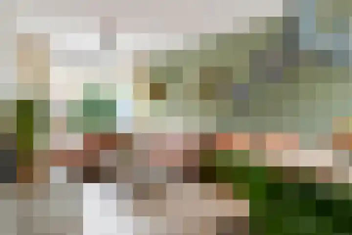 Meidoornstraat 3 Deest thumbnail 6
