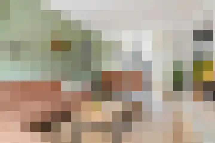 Meidoornstraat 3 Deest thumbnail 7