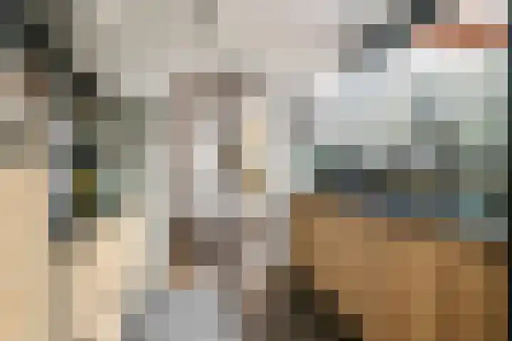 Meidoornstraat 3 Deest thumbnail 9
