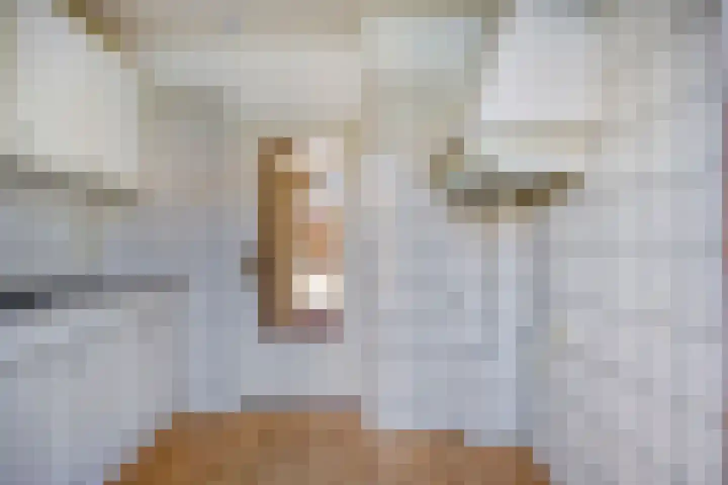 Meidoornstraat 3 Roelofarendsveen thumbnail 6