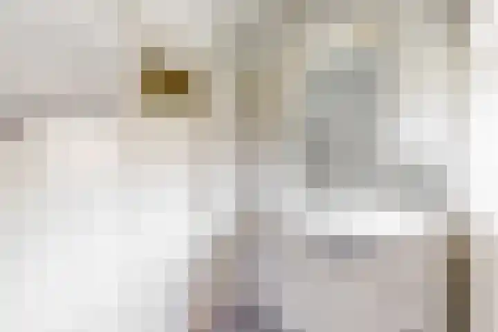 Meidoornstraat 30 Leiderdorp thumbnail 19