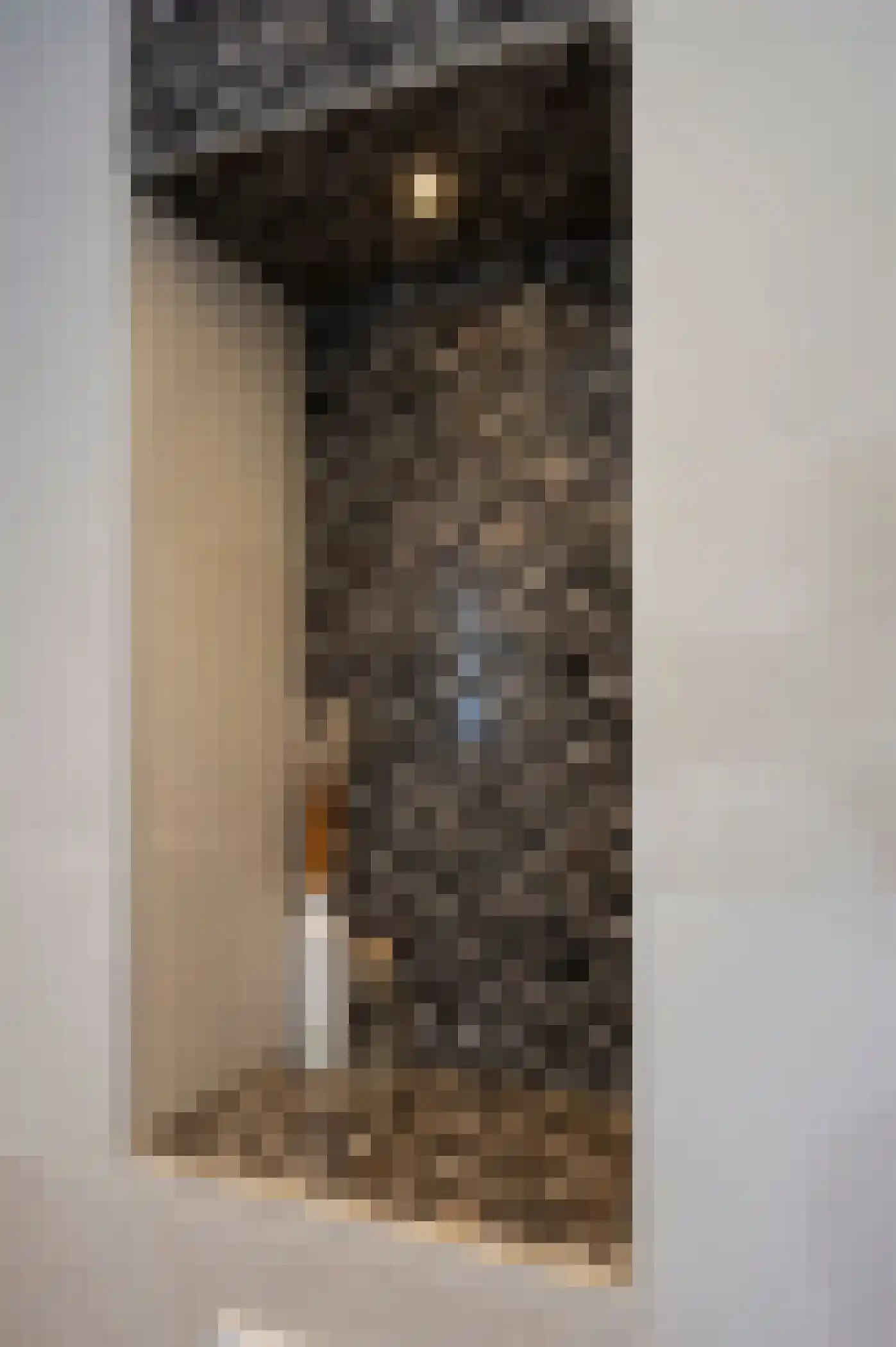 Meidoornstraat 31 Almere thumbnail 27