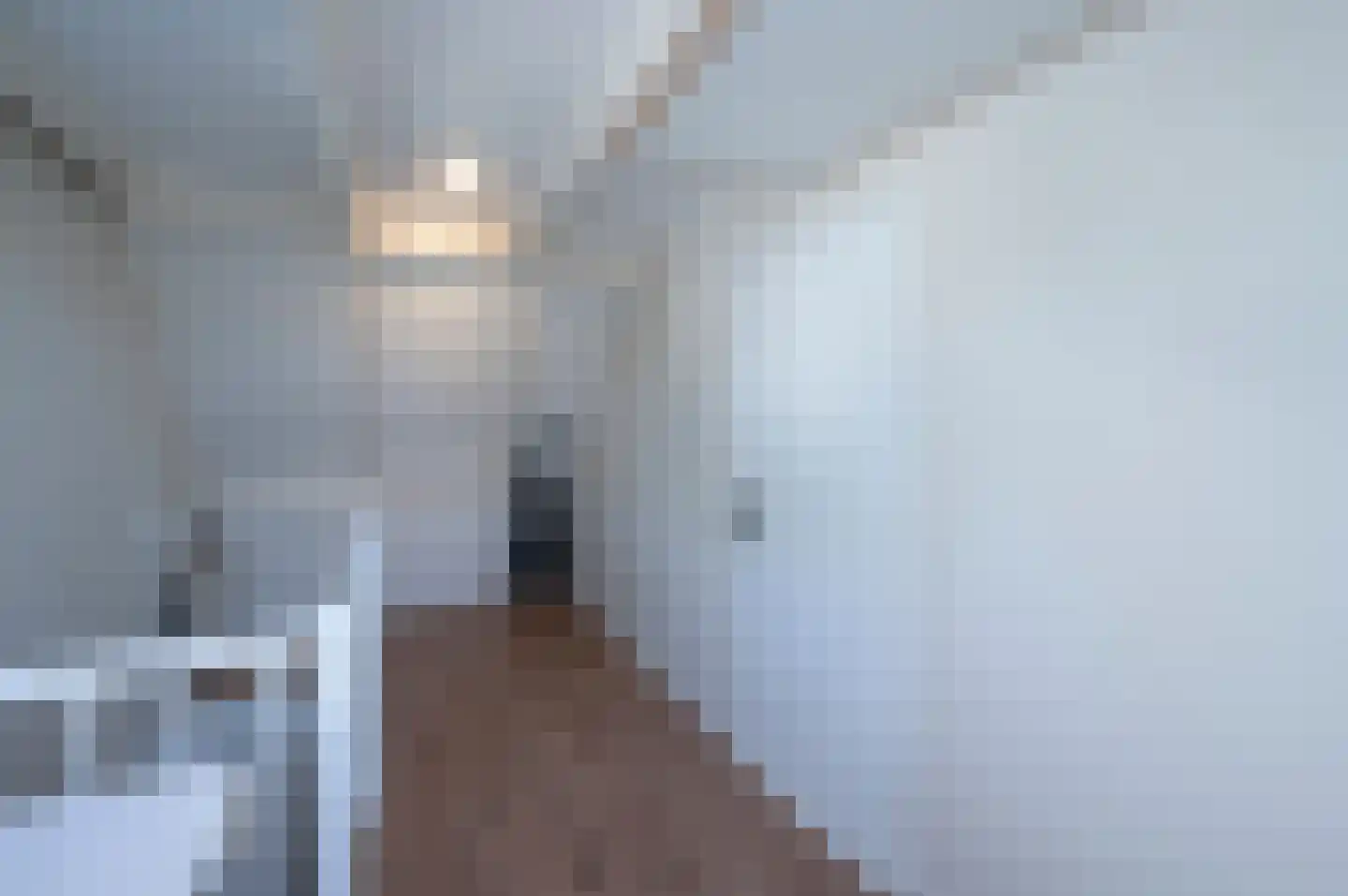 Meidoornstraat 31 Almere thumbnail 35