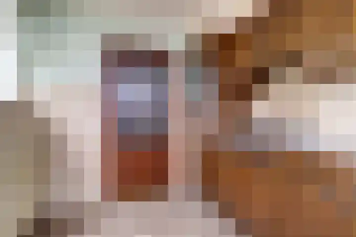 Meidoornstraat 31 Best thumbnail 11