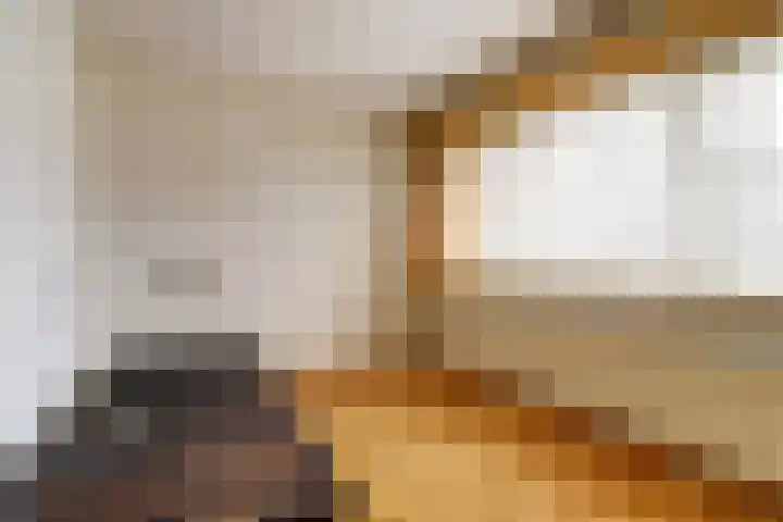 Meidoornstraat 31 Best thumbnail 22