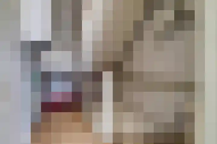 Meidoornstraat 31 Best thumbnail 27